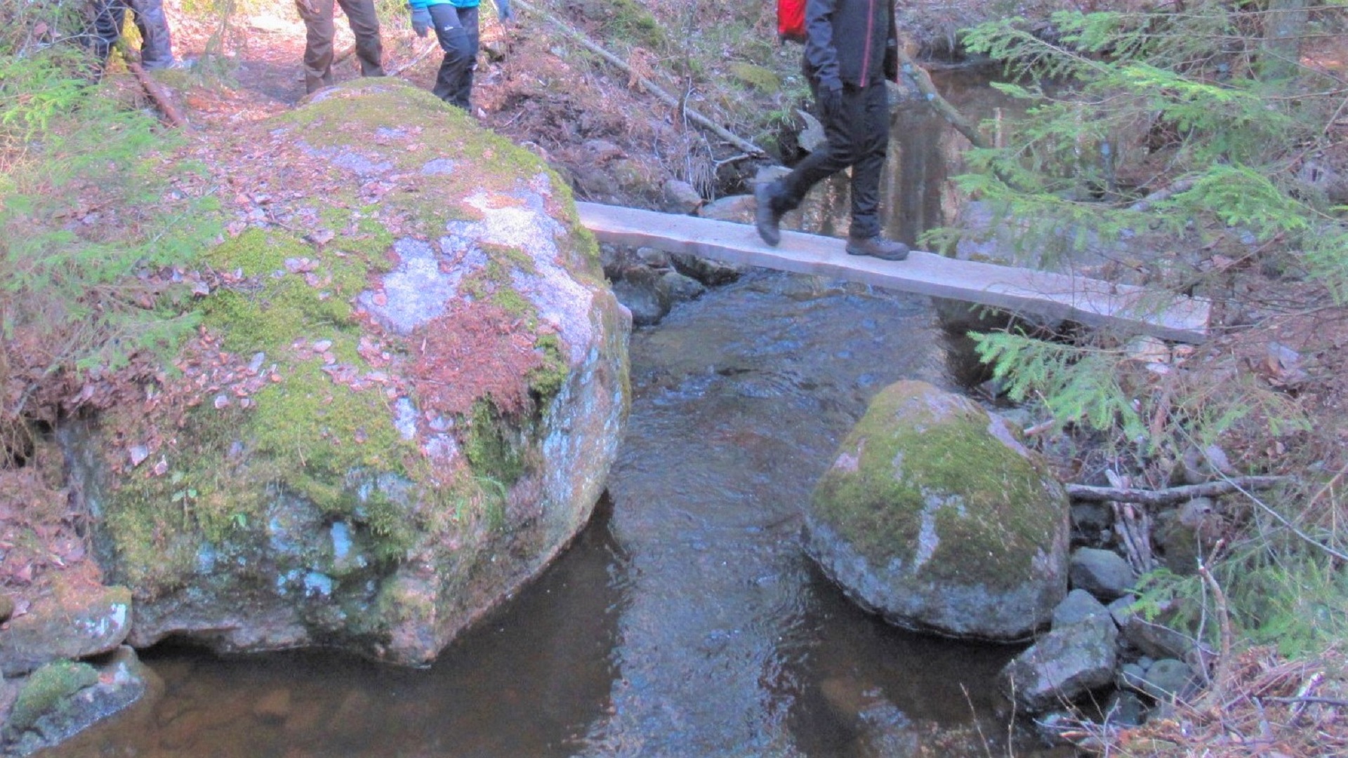 Course image